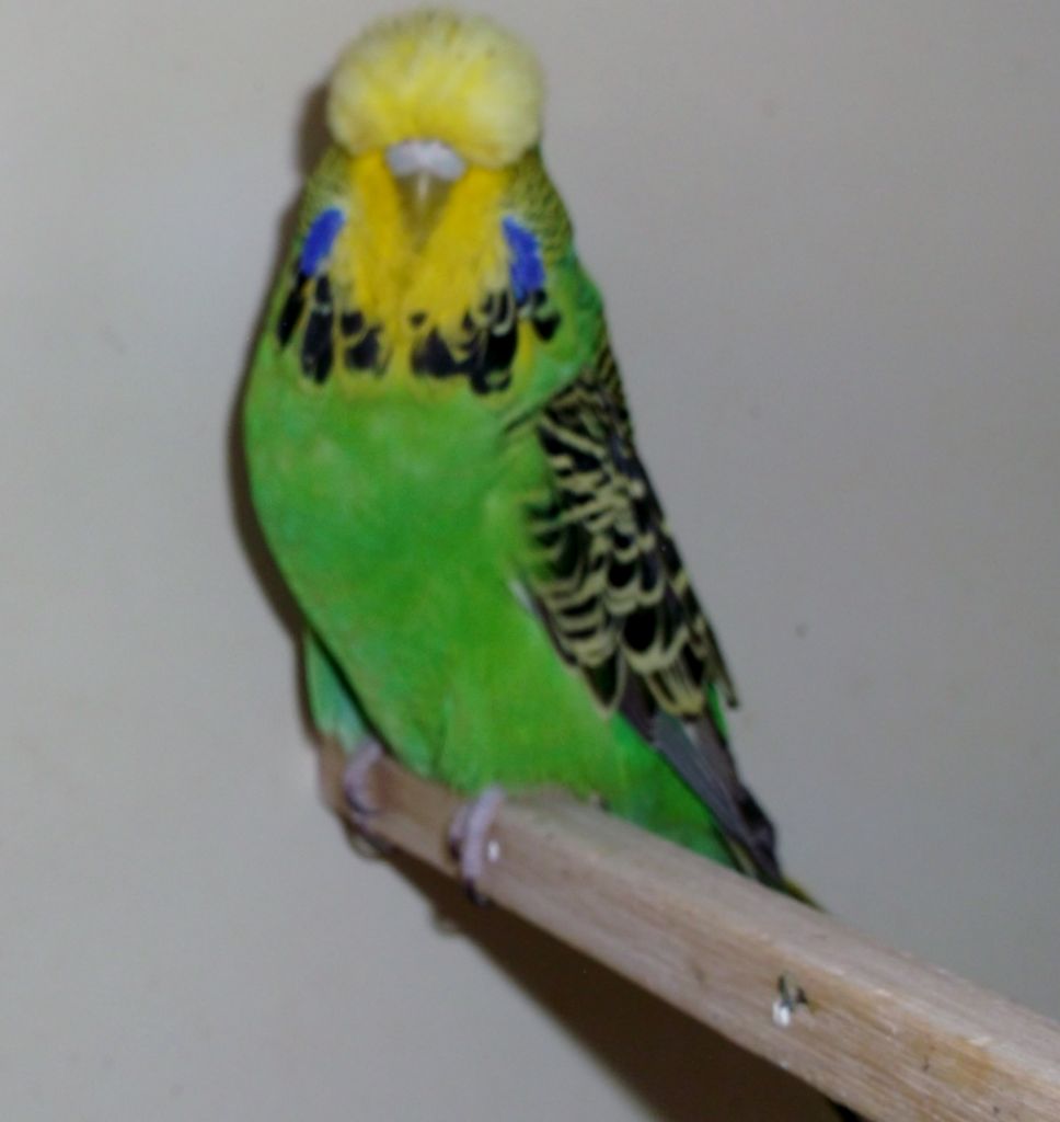 2014 011.JPG